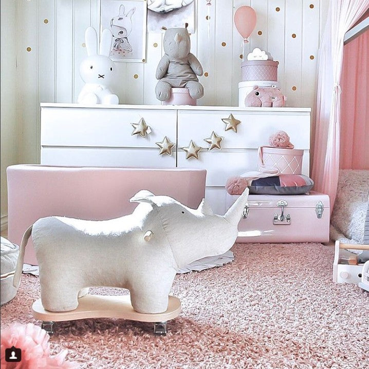 Balade à dos de rhinocéros