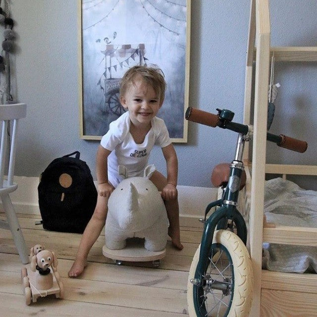 Balade à dos de rhinocéros