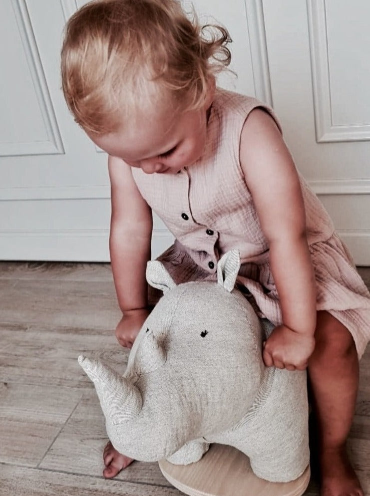 Rhino roller board - Rhino Ride